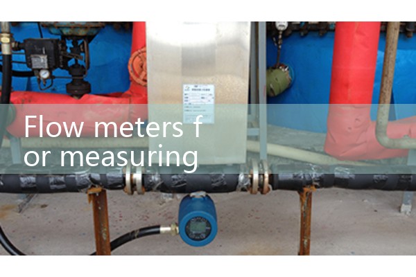 Flow meter for measuring gas flow rate